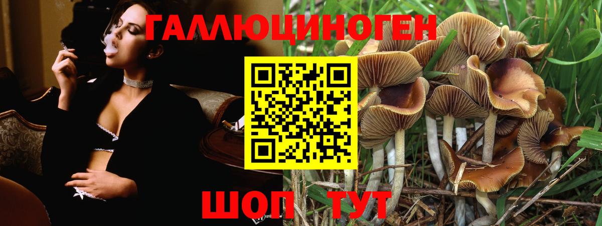 Псилоцибиновые грибы мицелий  Вход с VPN  Темрюк 