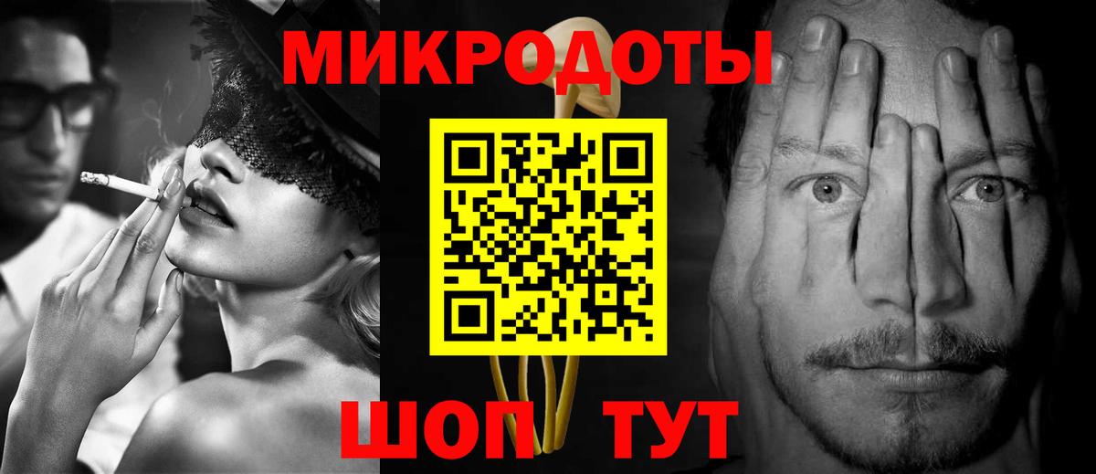 Псилоцибиновые грибы Psilocybe Темрюк